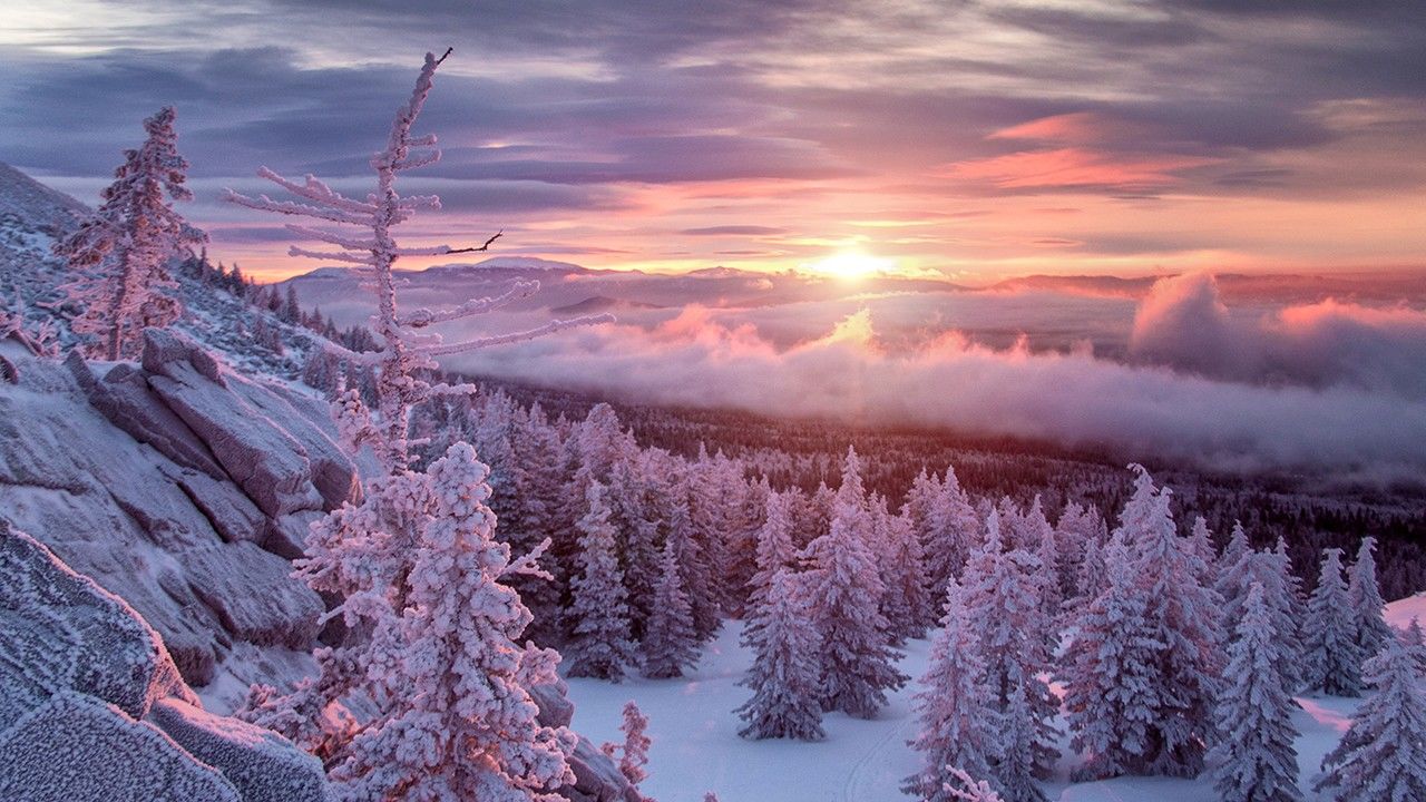 Frozen Paradise Photos Siberias Wild Year National