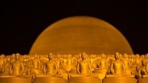 Human Creations photo