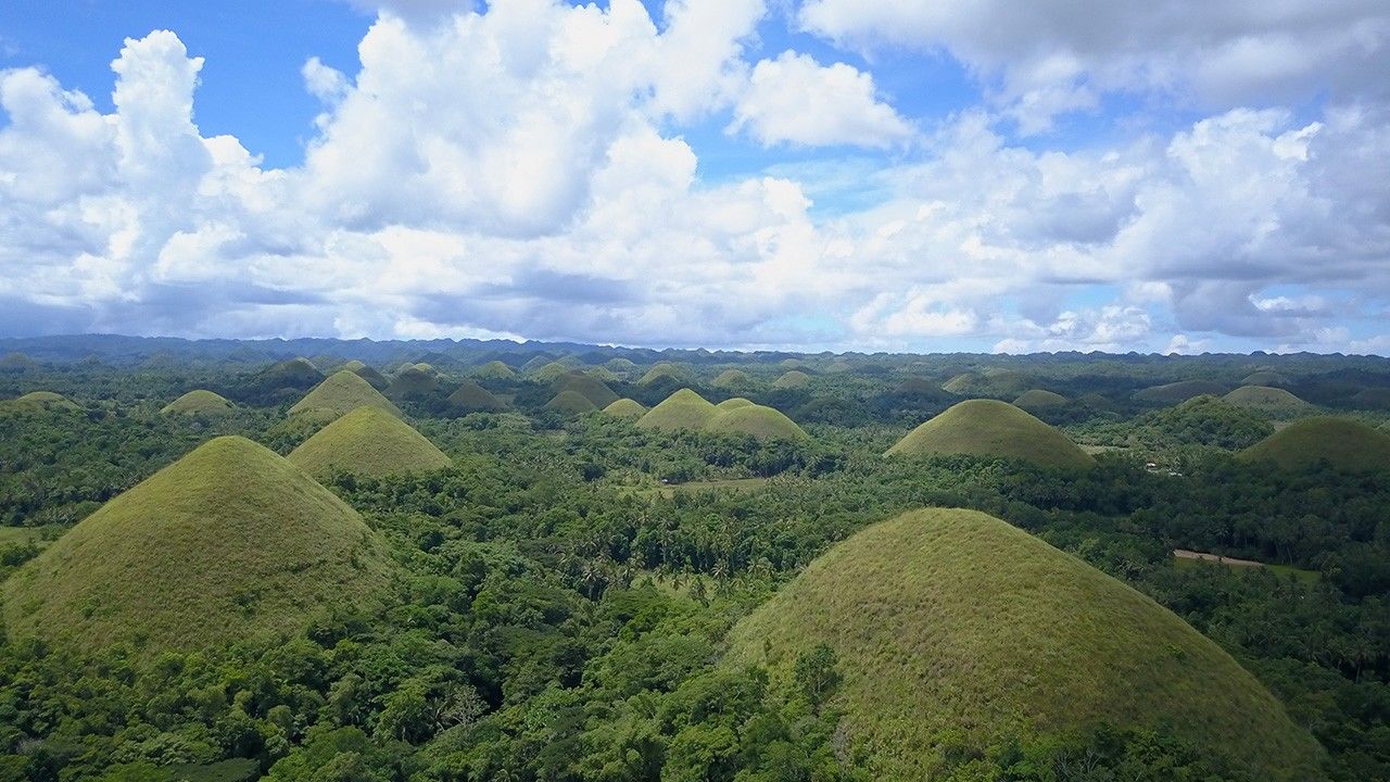 Philippine Biodiversity Photos - Untamed Philippines - National ...