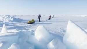 On Thin Ice: Jade's Polar Dream photo