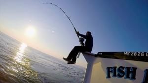 Bluefin Catch photo