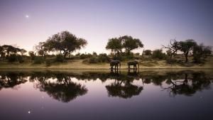 World Water Day: Into the Okavango photo