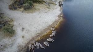 World Water Day: Into the Okavango photo