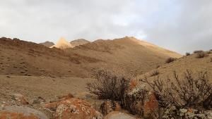 منغوليا البرية: مقتطفات صورة