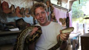 The, Most Venomous Snakes In The World photo