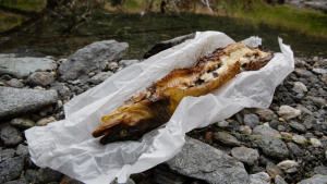 غوردن رامزي: أسرار الطعام البيرو: نيوزيلندا صورة