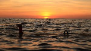 منيعة ضدّ الغرق: البارجة اليابانية المفقودة صورة