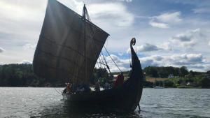 Drain The Viking Seas photo