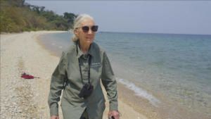 Jane Goodall: The Hope photo