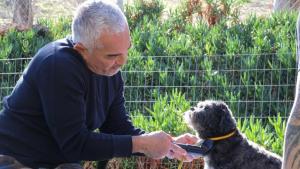 سيزار ميلان - أفضل الطرق لرعاية الكلاب صورة