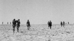 حرب هتلر الصحراوية صورة