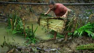 Primal Survivor: Escape the Amazon photo