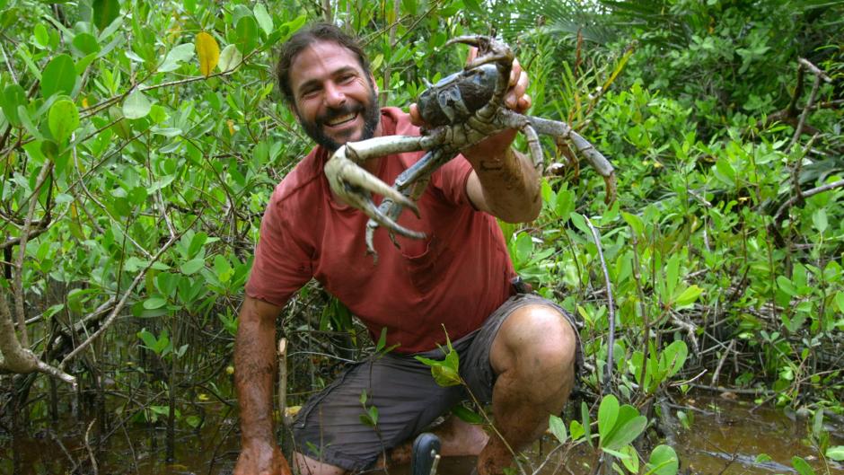 Primal Survivor: Escape The Amazon - National Geographic Channel Abu ...