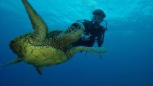 Sea of Hope: America's Underwater Treasures show