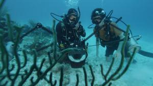 Sea of Hope: America's Underwater Treasures photo