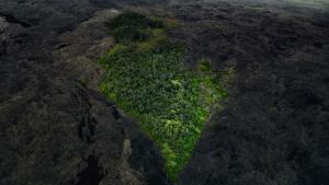 Hawaii Volcanoes photo