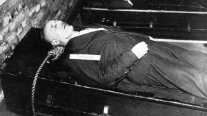 Nazis at Nuremberg: The Lost Testimony photo