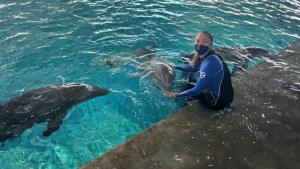 Sharks vs. Dolphins: Bahamas Battleground photo