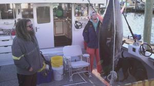 سمكة التونة العنيدة: ضفاف أوتر بانكس صورة