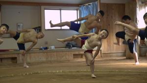 مصارعو السومو في اليابان صورة