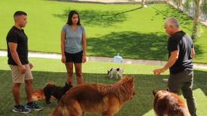 Cesar Millan: Better Human, Better Dog photo