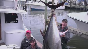 Wicked Tuna: Outer Bank Showdown photo