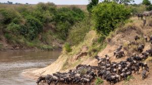 Chasing the African Rains photo