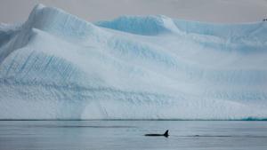 Home at the End of the Earth photo