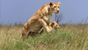 A Mother's Fight photo