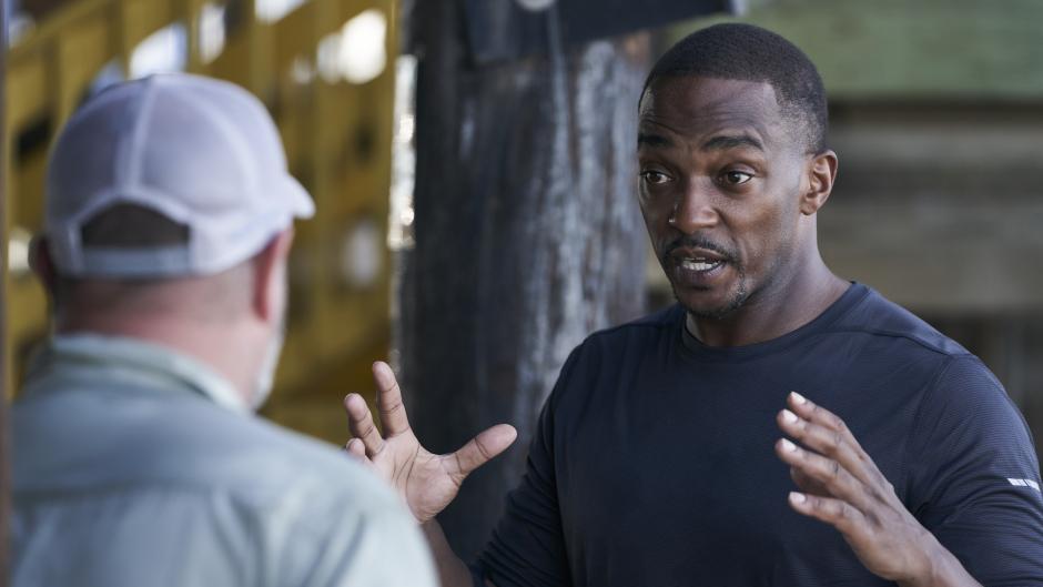 Shark Beach with Anthony Mackie Gulf Coast National Geographic