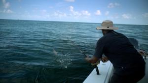 Shark Beach with Anthony Mackie: Gulf Coast photo