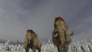 Secrets of the Giant Mammoths photo