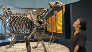 Secrets of the Sabre-Toothed Tiger photo