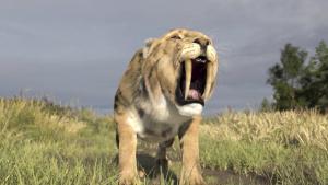 Secrets of the Sabre-Toothed Tiger photo