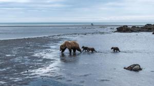 Katmai photo