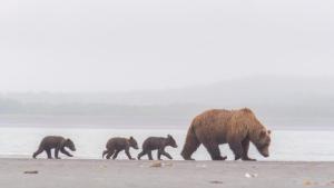 Katmai photo