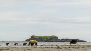 Katmai photo