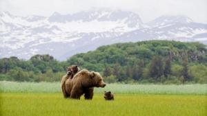 Katmai photo