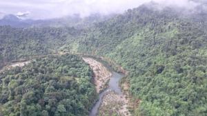 Mysterious North: Land of Mountain Forests photo