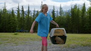 Dr. Oakley: Yukon Vet Compilations photo