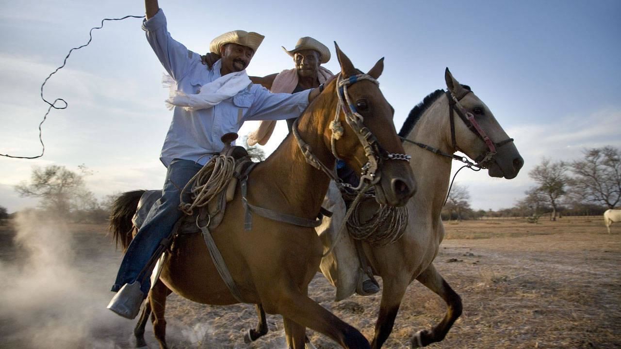https://assets-natgeotv.fnghub.com/Shows/1129.jpg