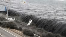 Witness: Japan Disaster show