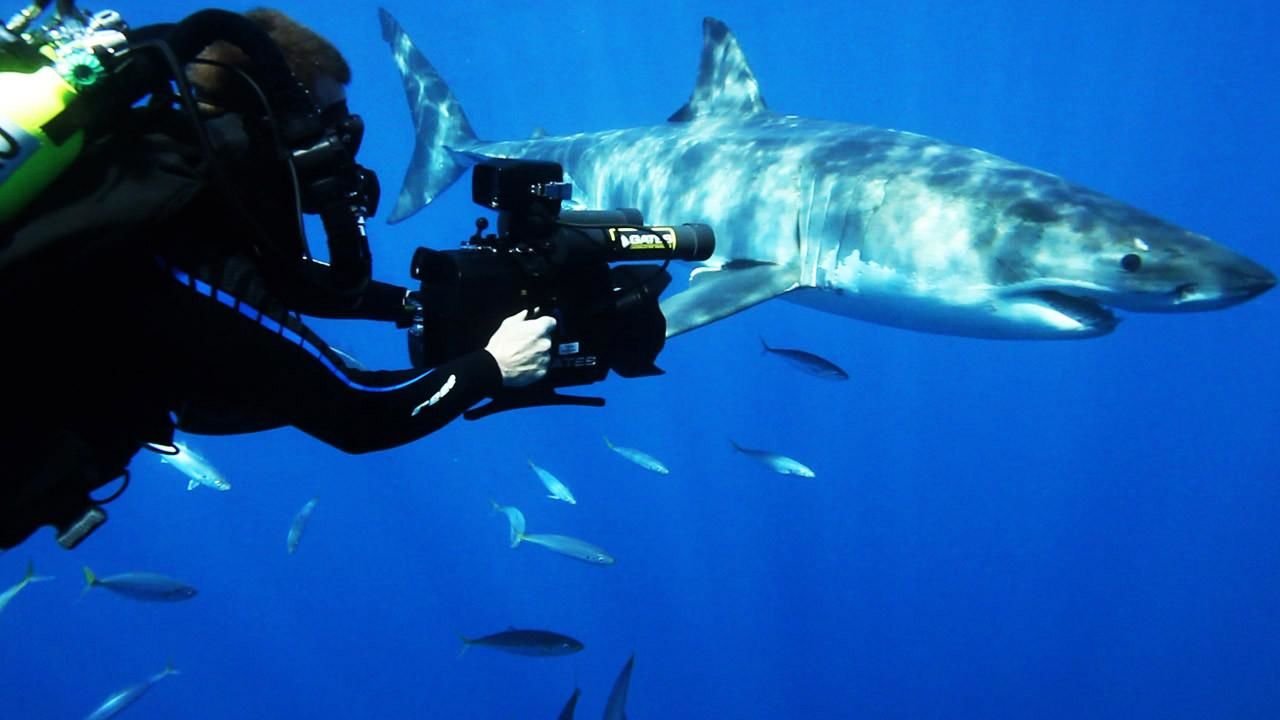 https://assets-natgeotv.fnghub.com/Shows/13426.jpg