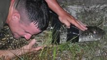 Swamp Men 2 show