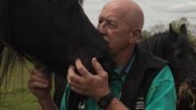 The Incredible Dr. Pol S6 - Mow, Mow, Mow Your Goat show