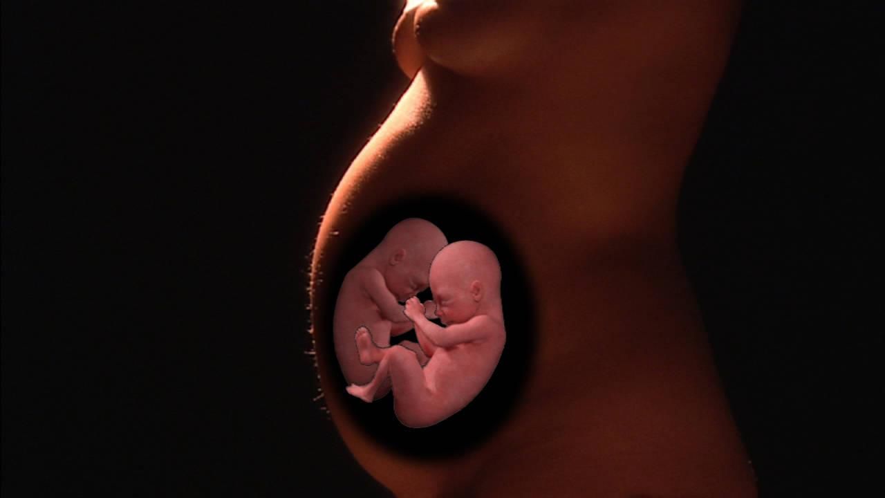 In the Womb - National Geographic Channel - Canada