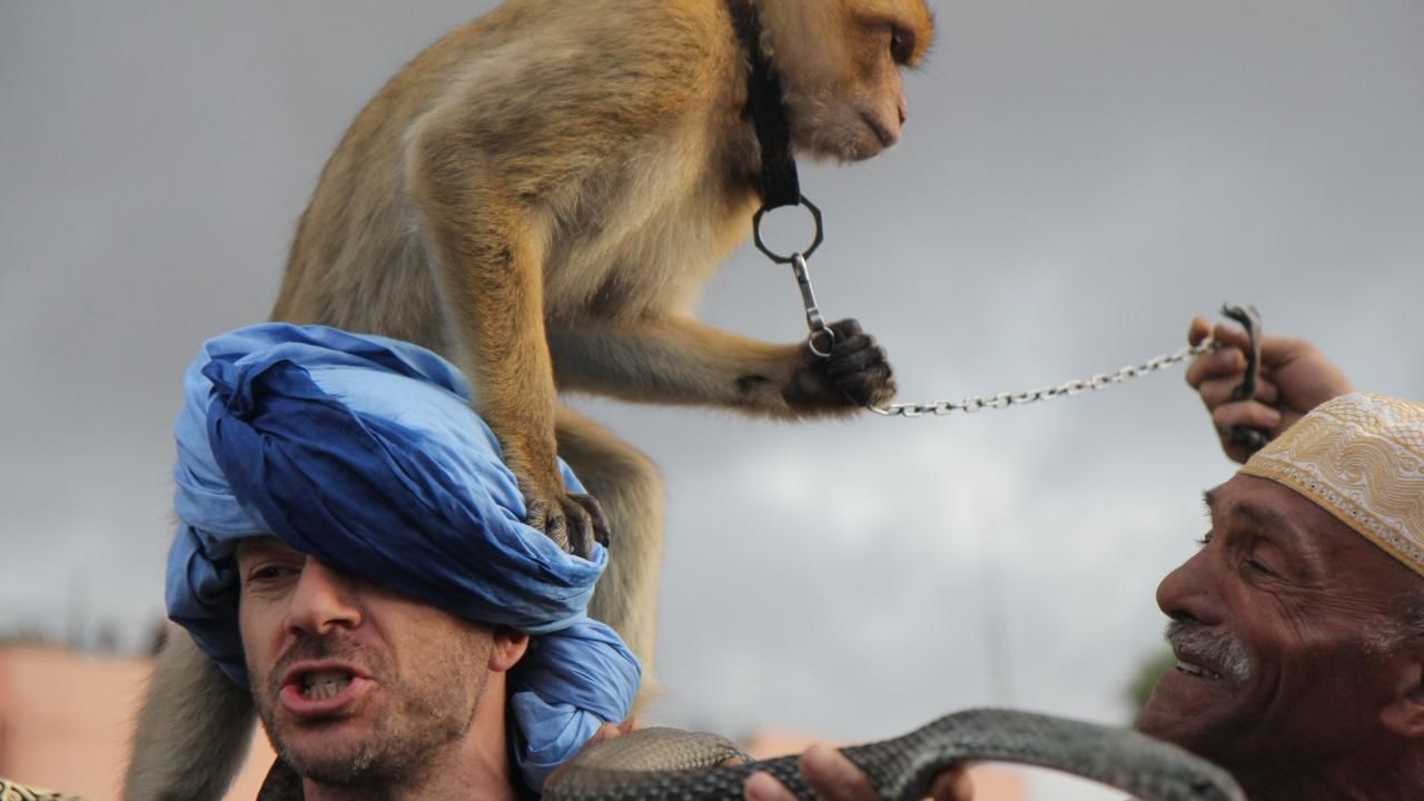 https://assets-natgeotv.fnghub.com/Shows/23131.jpg