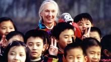 Jane Goodall:China Diary show