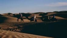 Sahara show