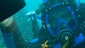 Dive Detectives